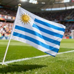 Banderas de Fibra de Poliéster 3x5 Personalizadas y al por Mayor para Copas Mundiales de Varios Países del Mundo - Product Image 5