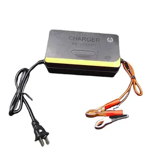 Sihon OEM 12 Volt Battery Charger Car Charger Phun Pin Sạc Có Thể Cung Cấp Mẫu Miễn Phí