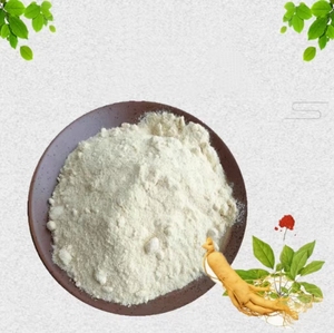 <span class=keywords><strong>80</strong></span>% ginsenosides <span class=keywords><strong>80</strong></span> lưới chiết xuất nhân sâm bột Nhà Máy chiết xuất sản phẩm - Product Image 3