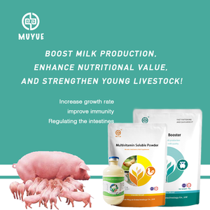 <strong>Feed</strong> <strong>Additives</strong> for Sow Milk Booster Increase Milk Production Piglet Weight Gain Sow Milk Booster - Product Image 6