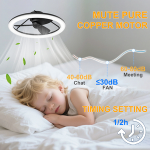Modern LED Ceiling <b>Fan</b> Light DC Motor Remote App <b>Control</b> 6 Wind Speed Timer 1-2H 3 Color flush Mount for Living Room bedroom - Product Image 2