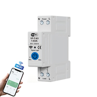 Disjoncteur WiFi en gros du fabricant Télécommande sans fil Commutateur intelligent 1P + N Disjoncteur WiFi Tuya T