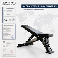 Banc de musculation réglable, banc de gym, équipement de gym commercial GC-5024-1