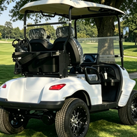 Voitures de golf de bonne qualité, deux places, 48 volts, électriques au lithium, avec pare-brise pliable et porte-sac pour le terrain de golf