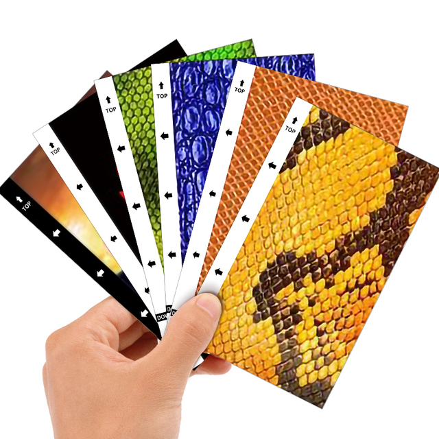 DIY 3D Varnish Texture Colorful Cover Skin Phone Back Sticker for Vivo/Moto/Oppo/Tecno Screen Protector Cutting Machine Film