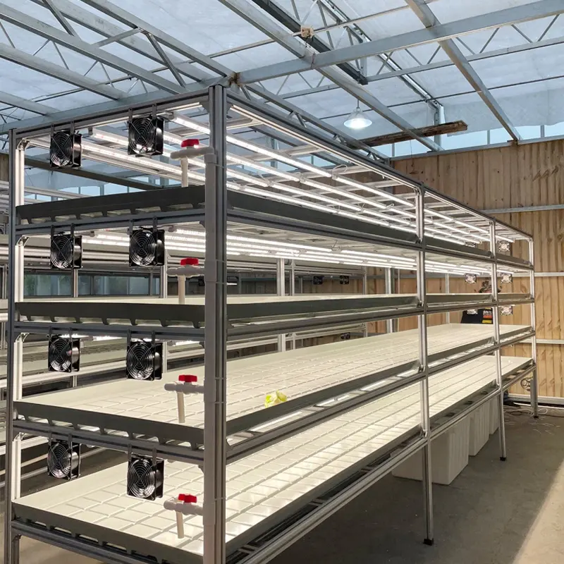 Özelleştirme tarım hydroponic büyümek raf dikey kapalı tarım marul dikim için