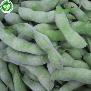 SD musim baru iqf frozen muki edamame beans