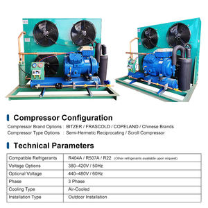 Unité de condensation semi-hermétique à refroidissement par air à mouvement alternatif pour chambre froide de viande, fruits de mer et fruits, directement de l'usine - Product Image 4