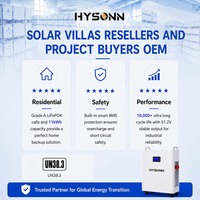 Batterie domestique Hysonn 11,77 kWh 51,2 V 230 Ah murale LFP pour villas solaires, revendeurs et acheteurs de projets OEM