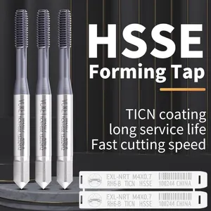 HSSE With TiCN Forming Roll Taps M0.5 M0.6 M0.7 M0.8 M0.9 M1 M1.4 M2 M3 M4 M5 M6 M7 M8 M9 M10 M11 M12 M14 M16 Machine Thread Tap