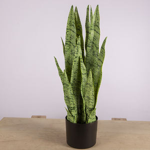 65cm respetuoso del medio ambiente <span class=keywords><strong>Sansevieria</strong></span> serpiente <span class=keywords><strong>Planta</strong></span> Artificial dentro <span class=keywords><strong>de</strong></span> las plantas <span class=keywords><strong>de</strong></span> casa verde - Product Image 2