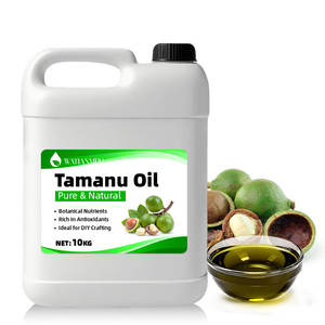 Tamanu-Öl Fabrik Kaltgepresstes Trägeröl Bio <span class=keywords><strong>Tahiti</strong></span> Grünes Tamanu-Samenöl für Hautpflege - Product Image 4