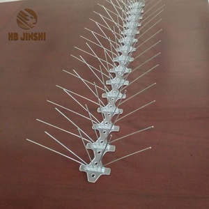 Pas de pointe répulsive pour oiseaux à base large nocive en acier inoxydable pointe anti-oiseau pour le contrôle des oiseaux - Product Image 1