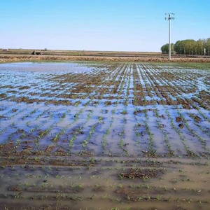 Tự động lái xe chỉ đạo hệ thống thiết kế chcnav trong tự động GPS đầy đủ nhìn chằm chằm Para máy kéo trên toàn thế giới - Product Image 5