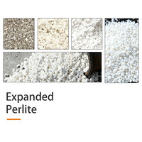 Perlite Horticole à Faible Teneur en Poussière, Substrat Inerte pour Serres, Légumes, Fruits et Semis – Commande en Gros