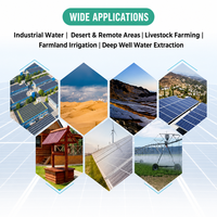 Pompes submersibles solaires en acier inoxydable haute pression pour systèmes d'irrigation goutte à goutte agricoles