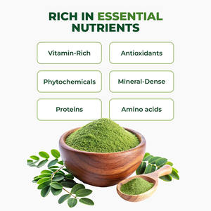 प्रतिरक्षा बालों और त्वचा स्वास्थ्य के लिए प्रोटीन विटामिन में समृद्ध वयस्कों के लिए सोलिलन पत्ती निकालने पाउडर हर्बल सप्लीमेंट - Product Image 4