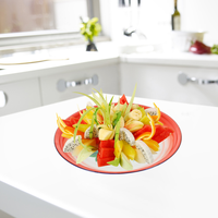 Plateau à poisson multifonctionnel de luxe pour cuisine commerciale élégante plaque en émail poli personnalisable pour hôtels et fêtes