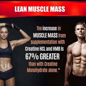 Suppléments OEM Factor Muscle Builder pour adultes Améliorer la récupération post-entraînement Capsules supérieures Monohydrate Créatine HCL - Product Image 2