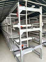 Cage à poulets de type H au meilleur prix avec grattoir manuel pour la collecte du fumier, cages d'élevage de poulets de chair pour petites exploitations avicoles (120 à 2000 poulets)