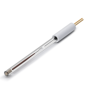 <span class=keywords><strong>Electrodo</strong></span> <span class=keywords><strong>de</strong></span> <span class=keywords><strong>cloruro</strong></span> <span class=keywords><strong>de</strong></span> <span class=keywords><strong>plata</strong></span> personalizable con puente salino simple Soporte OEM - Product Image 1