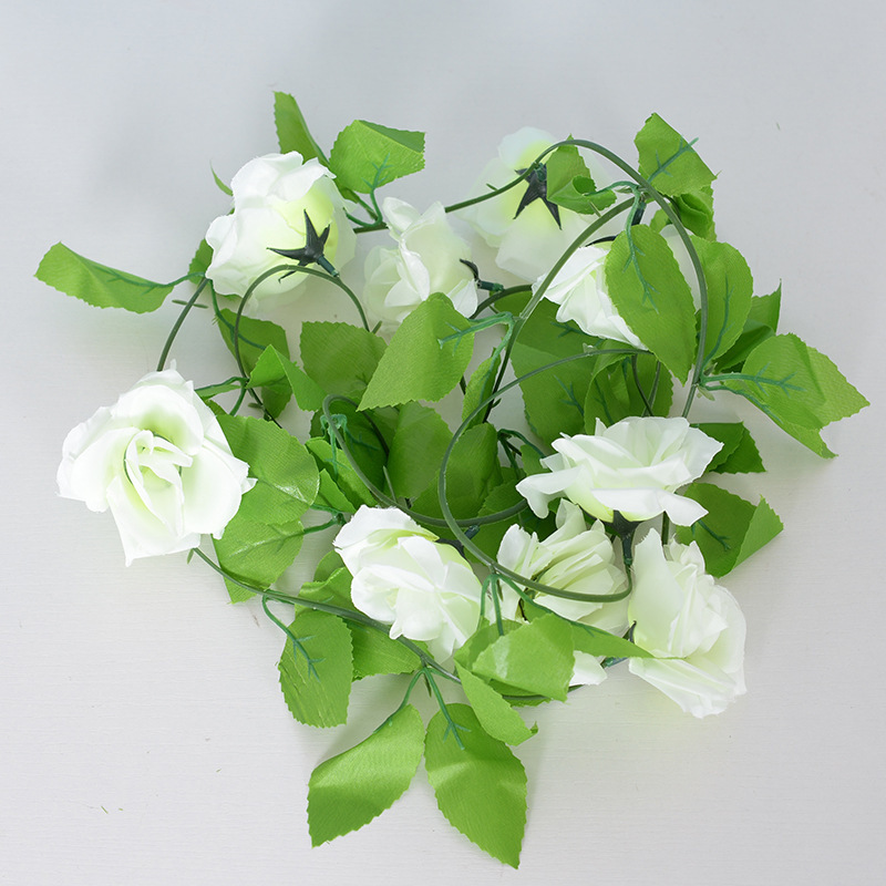 Rose blanche à 9 têtes