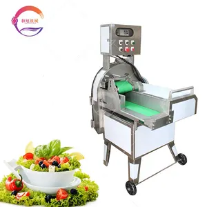 Commercial Medium Size Vegetable Cutter Machine Double Frequency Conversion Cutter For Leafy Vegetable