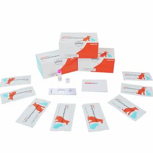 ITGEN Hund Haustier-Krankheit Dirofilaria <span class=keywords><strong>Chw</strong></span> Schnelltest-<span class=keywords><strong>Kit</strong></span> Hundebärmut Ag Schnelltest - <span class=keywords><strong>Chw</strong></span> - Product Image 1