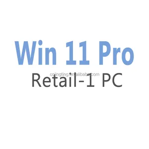 Vera vittoria 11 Pro chiave 100% attivazione Online vince 11 chiave professionale digitale al dettaglio 1 PC vince 11 Pro invio per pagina Chat Ali