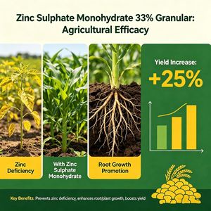 <span class=keywords><strong>Sulfato</strong></span> <span class=keywords><strong>de</strong></span> <span class=keywords><strong>Zinc</strong></span> Monohidratado <span class=keywords><strong>de</strong></span> Grado Agrícola 33% Granular, Fertilizante <span class=keywords><strong>de</strong></span> <span class=keywords><strong>Zinc</strong></span> Soluble en Agua para Aplicación y Mezcla en Suelo - Product Image 5