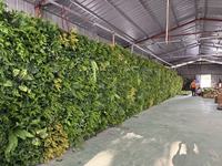 Mur végétal artificiel, mur de fond, plantes vertes bioniques, combinaison de fausses fleurs, gazon artificiel, aménagement paysager intérieur