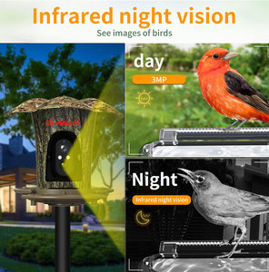 VESAFE basse puissance 4x Zoom Colibri Mini maison d'observation des <span class=keywords><strong>oiseaux</strong></span> Hd 3mp mangeoire à <span class=keywords><strong>oiseaux</strong></span> intelligente à énergie solaire avec caméra - Product Image 6