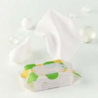 Lingettes personnalisées OEM, usine BSCI, lingettes nettoyantes buccales pour bébés, testées REACH, lingettes pour jouets non toxiques sans parfum