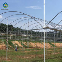 Sainpoly Serre Agricole Clé en Main Multi-Travées Structure Commerciale Cadres de Serre Agricole d'Occasion à Vendre