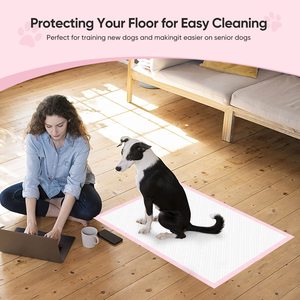 Kostenlose Probe Haustier-Absorbiermatten Einweg-Welpenunterlagen Schnell Trocknende Pinkelpads für Hunde Haustiertraining - Product Image 5