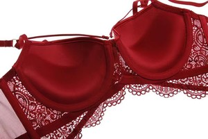 Lencería Sexy de Encaje para Uso Diario, Conjunto de Lencería con Aro de Acero, Conjunto de Sujetador y Braguitas Push-Up para Mujer - Product Image 5