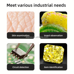Ikeme giá rẻ Giá 3 trong 1 Type-C <span class=keywords><strong>USB</strong></span> xách tay kính hiển vi điện tử dẫn điện thoại di động sửa chữa kính hiển vi <span class=keywords><strong>USB</strong></span> kính hiển vi kỹ thuật số - Product Image 6