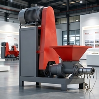 Machine de formage de charbon de bois à sciure Dengxin de haute qualité et à fonctionnement stable, extrudeuse de charbon de bois en biomasse (coques de riz, pailles) 220-280 kg/h