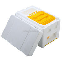 Mini ruche en mousse de polystyrène, kit de démarrage d'apiculture en plastique, boîte d'accouplement pour abeilles