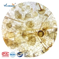 Microscope Prepared Slides Hot Sale 10pcs Mixed Different Fungi Microbiology Slides