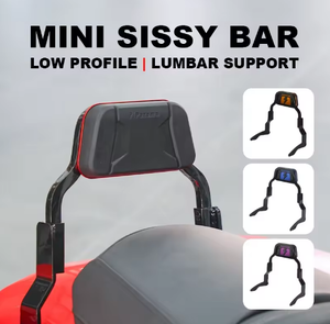 Mini Sissy Bar Compatibile con <span class=keywords><strong>Moto</strong></span> Touring HD dal 2014 in Poi, Schienale Passeggero a Profilo Ribassato, Accessori <span class=keywords><strong>per</strong></span> Road Glide e Street Glide - Product Image 2