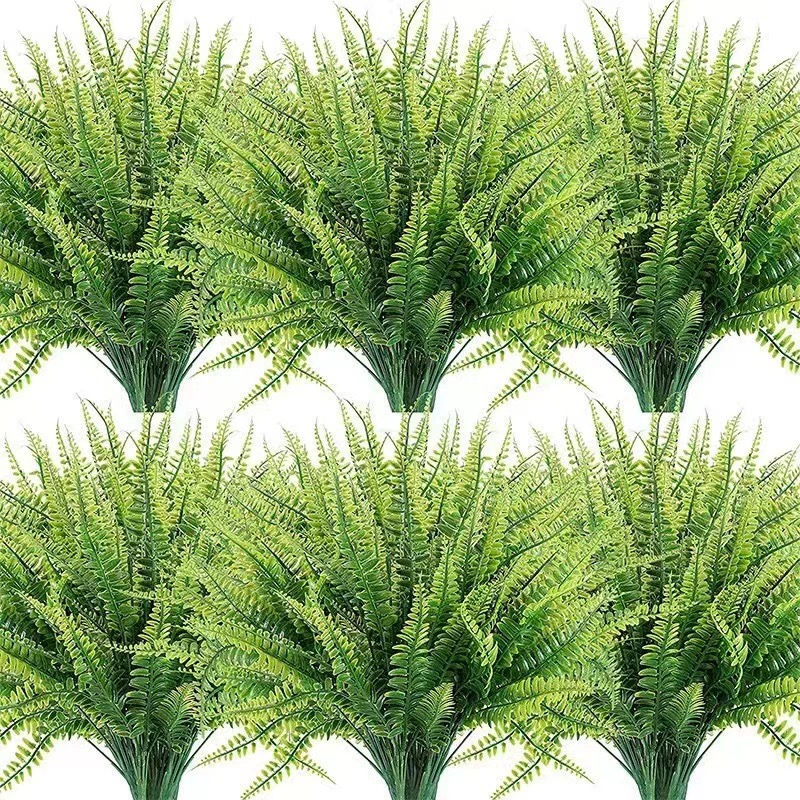 fern bushes