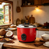 Autocuiseur Électrique à Tambour à Économie d'Énergie, Appareil de Cuisine Mécanique à Commande Unique, Cuisson Rapide Automatique