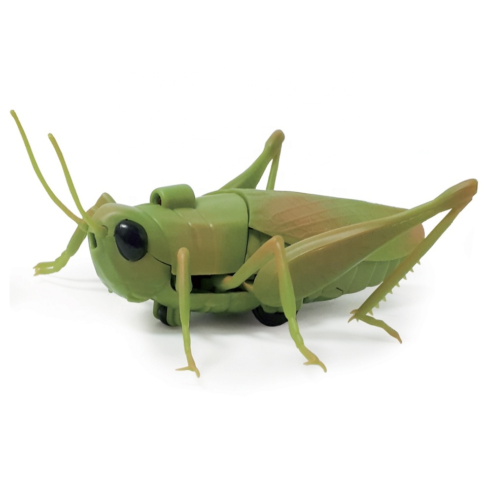 RC Control Grass Hopper Animal Toy in Pakistan