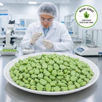 Haricots écaillés surgelés IQF Halal de qualité supérieure en gros |   Graines de fèves 100% naturelles et fraîches pour des repas sains et prêts à consommer