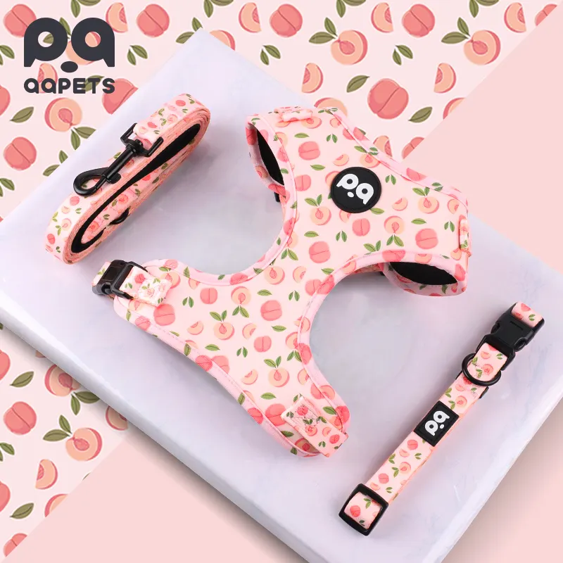 QQPETS Wholesale 2024 Fruit Peach Pet Collars Hands Free Dog Leash Harness Luxury Sublimation Custom Harness Dog