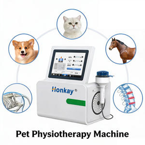 Dispositivo Professionale a Onde d'Urto Elettromagnetiche Focalizzate per Animali, per Alleviare il Dolore e la Rigenerazione Tissutale - Product Image 1