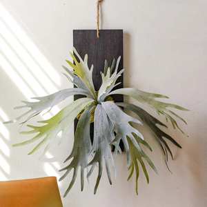 Staghorn fougère avec plante suspendue en bois artificielle succulente verdure <span class=keywords><strong>d</strong></span>écorative intérieure/extérieure maison pour mariages plante tropicale - Product Image 1