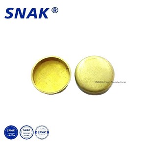 <span class=keywords><strong>Bouchon</strong></span> de <span class=keywords><strong>moteur</strong></span> personnalisé SNAK bouchons de gel 12mm <span class=keywords><strong>bouchon</strong></span> <span class=keywords><strong>jaune</strong></span> cuivre fer <span class=keywords><strong>voiture</strong></span> camion <span class=keywords><strong>moteur</strong></span> chemise d'eau <span class=keywords><strong>bouchon</strong></span> de gel - Product Image 3