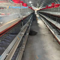 Cage à batterie automatique pour cailles, 3 à 8 niveaux, galvanisée à chaud, système de collecte d'œufs à grande échelle, système d'alimentation par courroie, équipement d'élevage avicole